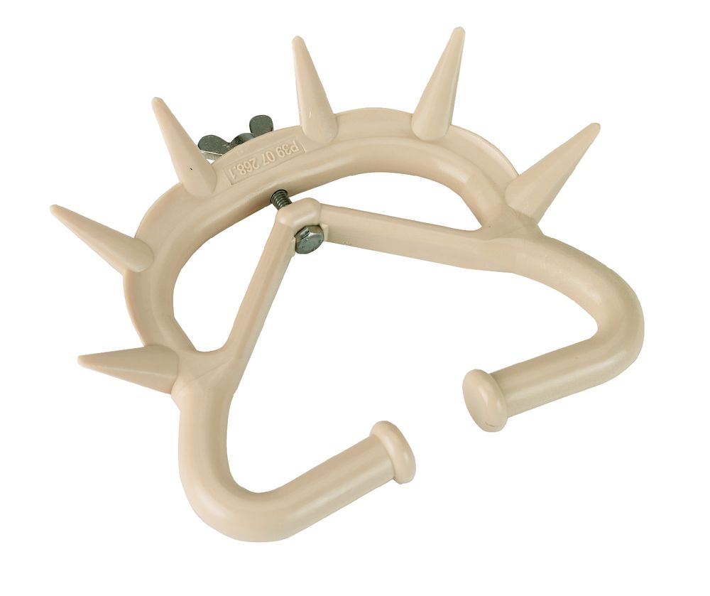 Saugentwöhner Großvieh, groß, beige