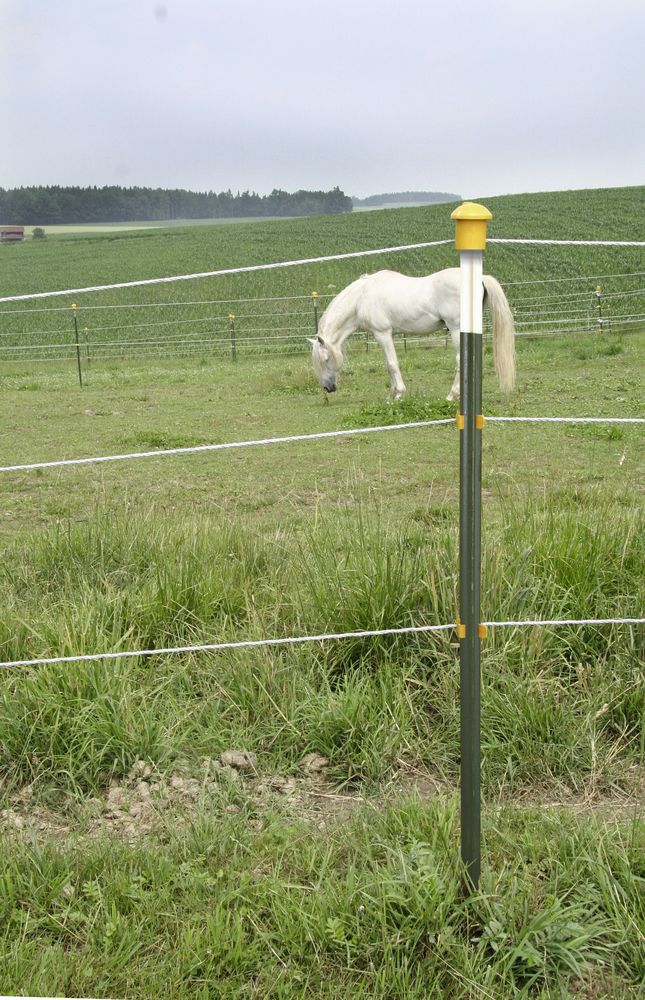 T-PFAHL, 167CM, GRÜN LACKIERT